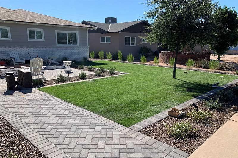 A backyard with a new lawn, a herringbone paver path and gravel planting beds